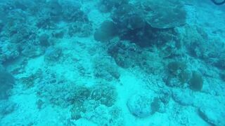 Gulf of Tadjoura берег Джибути лазурная вода лодки рыбаков и дельфины в заливе