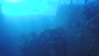 Gulf of Tadjoura берег Джибути лазурная вода лодки рыбаков и дельфины в заливе