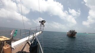 Gulf of Tadjoura берег Джибути лазурная вода лодки рыбаков и дельфины в заливе