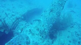 Gulf of Tadjoura берег Джибути лазурная вода лодки рыбаков и дельфины в заливе