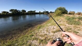 Shanghai Bend прогулка по излучине реки и спокойная городская рыбалка в тишине мегаполиса