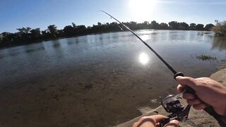 Shanghai Bend прогулка по излучине реки и спокойная городская рыбалка в тишине мегаполиса