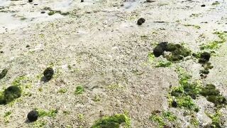 Острова Lembongan и Ceningan Бали как добраться чем заняться и есть ли тут морская рыбалка с лодки