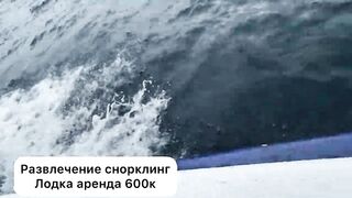 Острова Lembongan и Ceningan Бали как добраться чем заняться и есть ли тут морская рыбалка с лодки