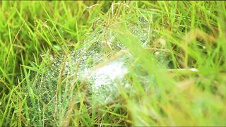 Ченинган и Лембонган Индонезия паучье логово прыжок самоубийцы и тропические виды без цензуры