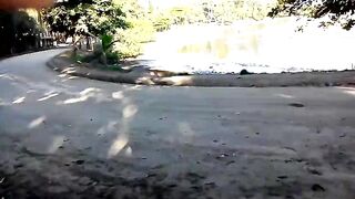 Costa Rica Puerto Jimenez Peninsula de Osa тропический городок и ворота в мир океанской рыбалки