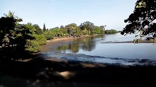 Costa Rica Puerto Jimenez Peninsula de Osa тропический городок и ворота в мир океанской рыбалки