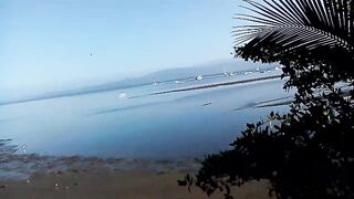 Costa Rica Puerto Jimenez Peninsula de Osa тропический городок и ворота в мир океанской рыбалки