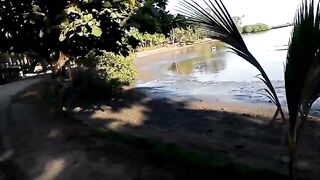 Costa Rica Puerto Jimenez Peninsula de Osa тропический городок и ворота в мир океанской рыбалки