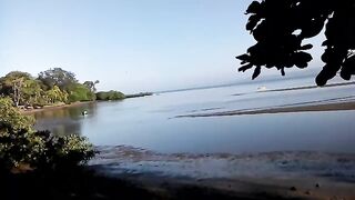 Costa Rica Puerto Jimenez Peninsula de Osa тропический городок и ворота в мир океанской рыбалки