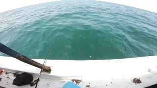 Морская рыбалка в Александрии район Miami - береговая ловля и волны Средиземного моря