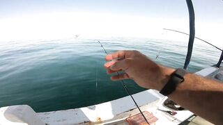 Морская рыбалка в Александрии район Miami - береговая ловля и волны Средиземного моря