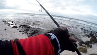 Береговая морская рыбалка в Salalah Oman, bluefish на волне Shimano Saragosa 6000 и Poseidon II