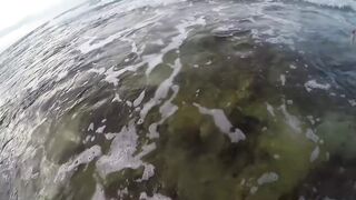 Береговая морская рыбалка в Salalah Oman, bluefish на волне Shimano Saragosa 6000 и Poseidon II