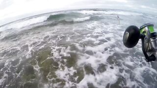 Береговая морская рыбалка в Salalah Oman, bluefish на волне Shimano Saragosa 6000 и Poseidon II