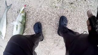 Береговая морская рыбалка в Salalah Oman, bluefish на волне Shimano Saragosa 6000 и Poseidon II