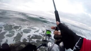 Береговая морская рыбалка в Salalah Oman, bluefish на волне Shimano Saragosa 6000 и Poseidon II