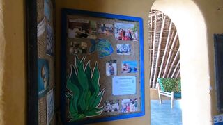 Остров Chumbe, Танзания полный обзор заповедника и стоит ли планировать тут рыбалку