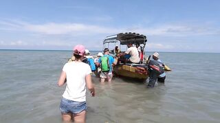 Остров Chumbe, Танзания полный обзор заповедника и стоит ли планировать тут рыбалку