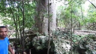 Остров Chumbe, Танзания полный обзор заповедника и стоит ли планировать тут рыбалку