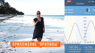 Kiwengwa Zanzibar: малолюдный пляж обзор Mvuvi Boutique Resort отливы водоросли и море