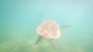 Тулум Мексика скандальный курорт миллионеры модели и бомжи на одном пляже