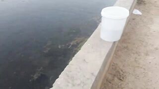 Varadero Cuba рыбалка с канала и пирса поиск барракуды и другой рыбы у входа в порт