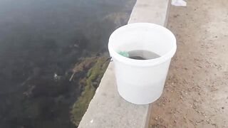 Varadero Cuba рыбалка с канала и пирса поиск барракуды и другой рыбы у входа в порт