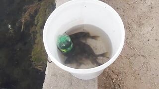 Varadero Cuba рыбалка с канала и пирса поиск барракуды и другой рыбы у входа в порт