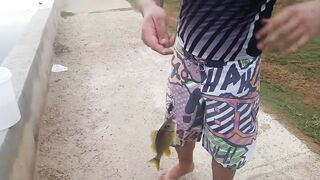 Varadero Cuba рыбалка с канала и пирса поиск барракуды и другой рыбы у входа в порт