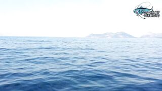 Fethiye Ölüdeniz рекордная морская рыбалка в бухтах и поимка трофейной рыбы в тёплом Эгейском море