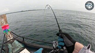 Таиланд - морская рыбалка в лодке 10 кг GT на компактную катушку Shimano Twin Power