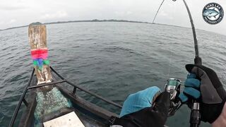 Таиланд - морская рыбалка в лодке 10 кг GT на компактную катушку Shimano Twin Power