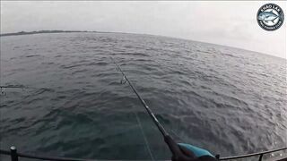 Таиланд - морская рыбалка в лодке 10 кг GT на компактную катушку Shimano Twin Power