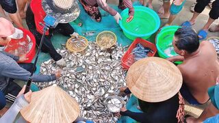 [4K 60fps] Da Nang вытаскиваем морской невод на берег и смотрим какой улов достали местные рыбаки