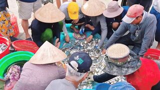 [4K 60fps] Da Nang вытаскиваем морской невод на берег и смотрим какой улов достали местные рыбаки