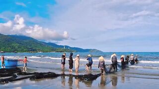 [4K 60fps] Da Nang вытаскиваем морской невод на берег и смотрим какой улов достали местные рыбаки