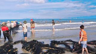[4K 60fps] Da Nang вытаскиваем морской невод на берег и смотрим какой улов достали местные рыбаки