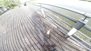 Freshwater fishing в Пекине, Китай спокойная рыбалка в городском парке среди высоток