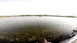 Freshwater fishing в Пекине, Китай спокойная рыбалка в городском парке среди высоток
