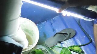 Bentota River Sri Lanka лагунная рыбалка тур по реке за местной рыбой и видами джунглей