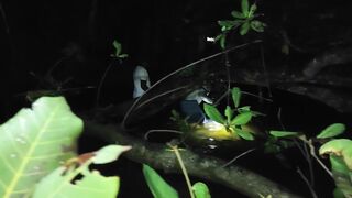 Bentota River Sri Lanka лагунная рыбалка тур по реке за местной рыбой и видами джунглей