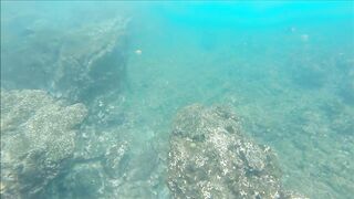 Gulf of Papagayo Costa Rica прогулка на лодке снорклинг и стоит ли брать снасти для рыбалки