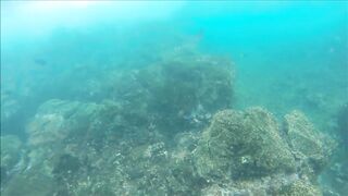 Gulf of Papagayo Costa Rica прогулка на лодке снорклинг и стоит ли брать снасти для рыбалки