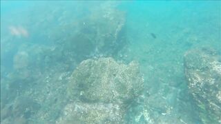 Gulf of Papagayo Costa Rica прогулка на лодке снорклинг и стоит ли брать снасти для рыбалки