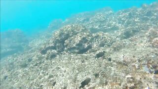 Gulf of Papagayo Costa Rica прогулка на лодке снорклинг и стоит ли брать снасти для рыбалки