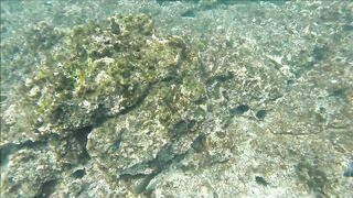 Gulf of Papagayo Costa Rica прогулка на лодке снорклинг и стоит ли брать снасти для рыбалки