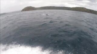 Gulf of Papagayo Costa Rica прогулка на лодке снорклинг и стоит ли брать снасти для рыбалки