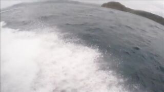 Gulf of Papagayo Costa Rica прогулка на лодке снорклинг и стоит ли брать снасти для рыбалки