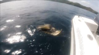 Gulf of Papagayo Costa Rica прогулка на лодке снорклинг и стоит ли брать снасти для рыбалки